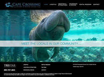 web design for real estate developer