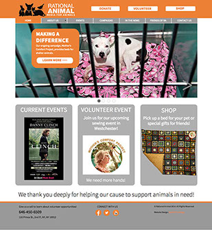 web design for non-profit organization